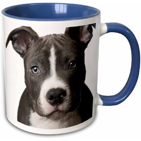 3dRose American Pit Bull Terrier Puppy-Two Tone Blue Mug, 1 Count (Pack of 1), Multicolored