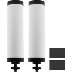 【Upgraded】Renami Ceramic Filter Silver Infused Replacement for BB9-2® Black Activated Carbon Filters, Compatible with Berkey® Travel, Large, Royal, Crown Series, Repeatable Cleaning Filters, Pack of 2