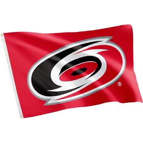 Desert Cactus Carolina Hurricanes Flag NHL 100% Polyester Indoor Outdoor 3x5 feet National Hockey League Team Flags (Design #2)