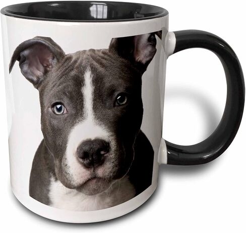 مج 3dRose American Pit Bull Terrier Puppy-Two Tone Blue، عدد 1 (عبوة من 1)، متعدد الألوان in Saudi Arabia