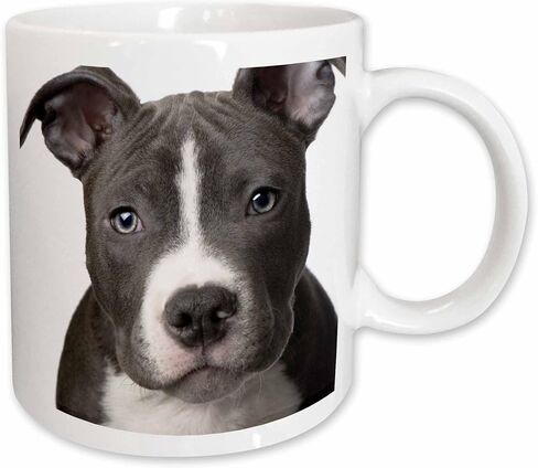 مج 3dRose American Pit Bull Terrier Puppy-Two Tone Blue، عدد 1 (عبوة من 1)، متعدد الألوان in Saudi Arabia