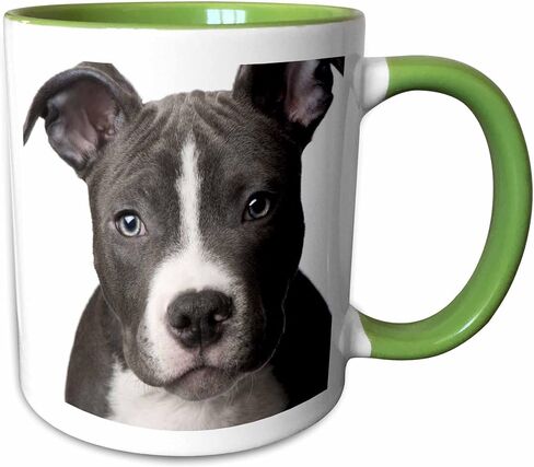 مج 3dRose American Pit Bull Terrier Puppy-Two Tone Blue، عدد 1 (عبوة من 1)، متعدد الألوان in Saudi Arabia