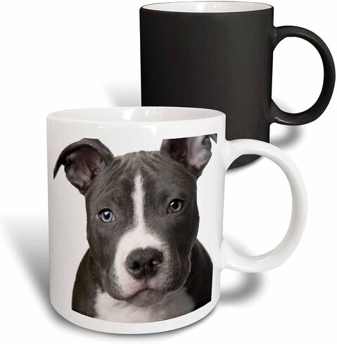 مج 3dRose American Pit Bull Terrier Puppy-Two Tone Blue، عدد 1 (عبوة من 1)، متعدد الألوان in Saudi Arabia
