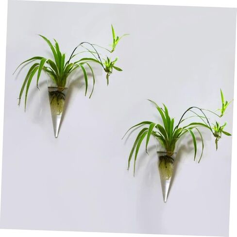 BESTOYARD 2pcs Wall Hanging Glass Flower Pots Plant Vase Wall Flower Vase Terrarium Air Plants Hydroponic Vase Tubes Wall Hanging Glass Vases Cone Shape Vase Coat Hanger Automatic in Saudi Arabia
