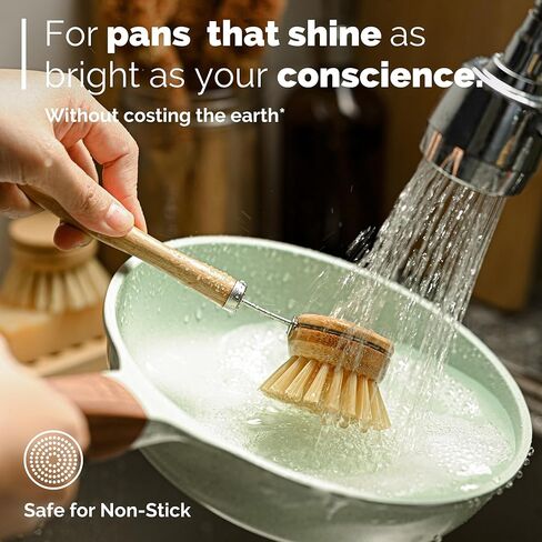 Jungle Culture® 6 قطع من فرش الأطباق الطبيعية لغسل الأطباق • مجموعة تنظيف المطبخ بفرشاة الأطباق الصديقة للبيئة • أجهزة غسل جوز الهند النباتية • فرشاة الزجاجات/الوعاء وإسفنجة تنظيف صديقة للبيئة للمقالي والأطباق in Kuwait