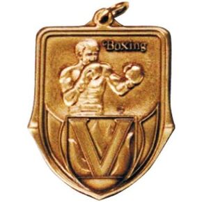 Ringside Gold Shield Boxing Medal