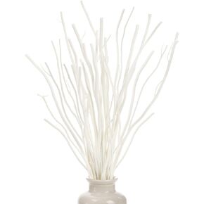 SOUJOY 30 PCS Willow Branches, Decorative Dried Curly Branches, 10'', 12'' Natural Wood Diffuser Stick for Vase, Craft DIY, Home, Office