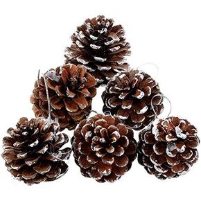 24 Pcs Christmas Pine Cones 1.96" Snow Tipped Natural Pine Cones Wood Frosted Pine Cone Ornaments for Decorating and Designing (24 pcs)
