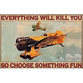 Air Force Airplane Poster Metal tin Sign, Everything Will Kill You, so Choose Something Interesting Chic Retro Art Cabin Club Shop bar Garage Coffee Shop Metal Wall Panel Art Decoration 8x12inch