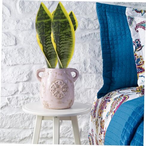 2 قطعة نبات النمر الاصطناعي البيرانا نبات الأفعى الداخلي نبات الأفعى اختيار نباتات الأفعى الاصطناعية نبات البلاستيك الأخضر نبات الأفعى طويل القامة نبات سانسيفيريا الاصطناعي ثعبان كبير غريس مكتب بيفا in Kuwait