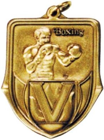 Ringside Gold Shield Boxing Medal in Kuwait