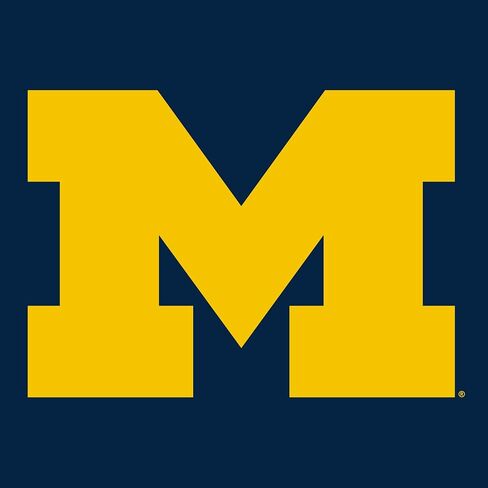 AH02 - هودي بشعار Michigan Wolverines الأساسي - 3X-Large - أزرق داكن in Kuwait