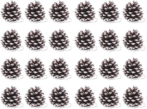 24 Pcs Christmas Pine Cones 1.96" Snow Tipped Natural Pine Cones Wood Frosted Pine Cone Ornaments for Decorating and Designing (24 pcs) in Saudi Arabia
