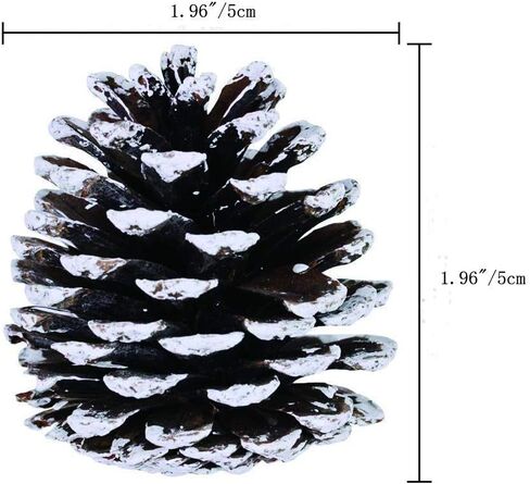 24 Pcs Christmas Pine Cones 1.96" Snow Tipped Natural Pine Cones Wood Frosted Pine Cone Ornaments for Decorating and Designing (24 pcs) in Saudi Arabia