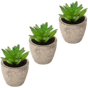 Succulent Ornament Basin ation Succulent Plant Decor