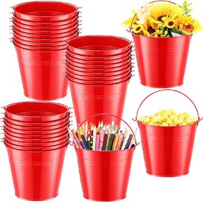 Rtteri 24 Pcs Metal Bucket, Small Metal Bucket, Party Favor Buckets with Handle, 6 x 5 Inch Ice Bucket for Kids, Flower Pot Plant Basket, Mini Toy Containers for Crafts Candy (Red)