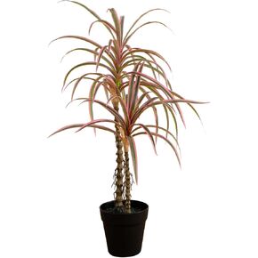 Nearly Natural 2ft. Artificial Dracaena Marginata Plant