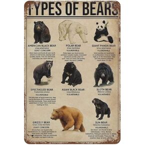 Types of Bear Metal Sign Tin Sign Knowledge Poster Iron Painting Wall Decor Living Room Bedroom Kids Toy House Garage Zoo Men Cave Birthday Holiday Housewarming Gifts for Friends Kids 5.5x8 inhces