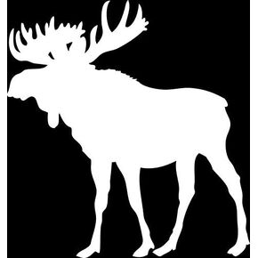 Moose Vinyl Decal Sticker | Cars Trucks Walls Vans Windows Laptops | White | 5.5 X 5.1 Inches | KCD1831