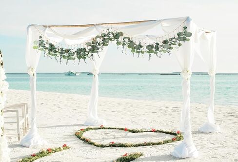 70 بوصة ديكور جدار الأوكالبتوس المعلق بوهو جارلاند نباتات معلقة وهمية ديكور جدار نباتات خضراء متينة ونباتات معلقة فاينز مناسبة لغرفة النوم وغرفة الطعام والحديقة وديكور الحضانة in Kuwait