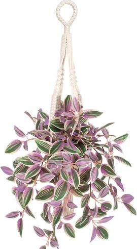 Fake Hanging Plants with Pot, 17" Green Artificial Eye Leaves Potted Plant Faux Peperomia Vine Basket Plant for Wall Bedroom Office Indoor Outdoor Home Decor in Saudi Arabia