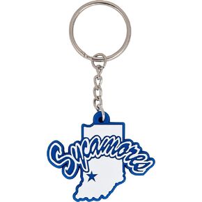 Desert Cactus Indiana State University Keychain ISU Sycamores Car Keys Holder (PVC A)