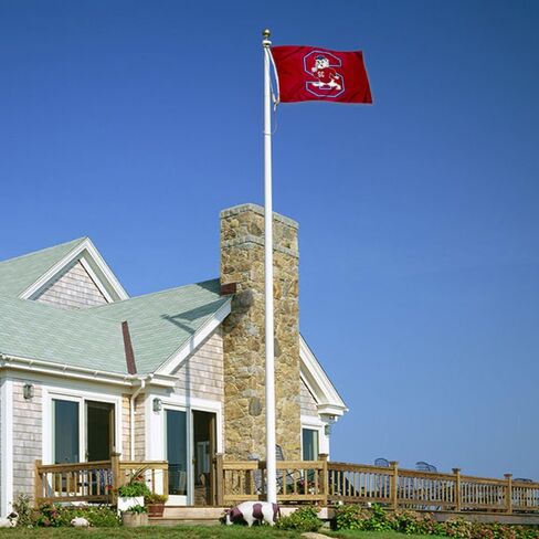 South Carolina State Bulldogs Flag in Saudi Arabia