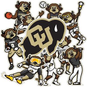 Desert Cactus University of Colorado Buffaloes Buffs Stickers Vinyl Decals Laptop Water Bottle Car T2 (Type 2-2)