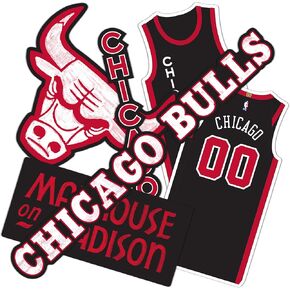 Desert Cactus Chicago Bulls Stickers NBA Officially Licensed Vinyl Decal Laptop Water Bottle Car Scrapbook (City Edition 2023)