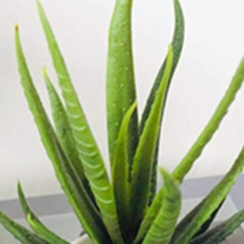 2Pack Fake Potted Plant, Artificial Plants and Flowers,Artificial Greenery Plants for Indoor Home Bathroom Study Room,Fake Plants for Artificial Potted Plants,Bathroom Plants Artificial Plants in Saudi Arabia