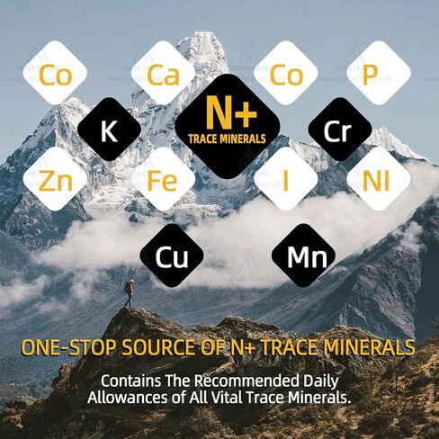 Shilajit pure himalayan organic 30gm, shilajit resin supplement for Men and Women - natural shilajit with 85+ trace minerals & fulvic acid for energy, Immune Support in Saudi Arabia