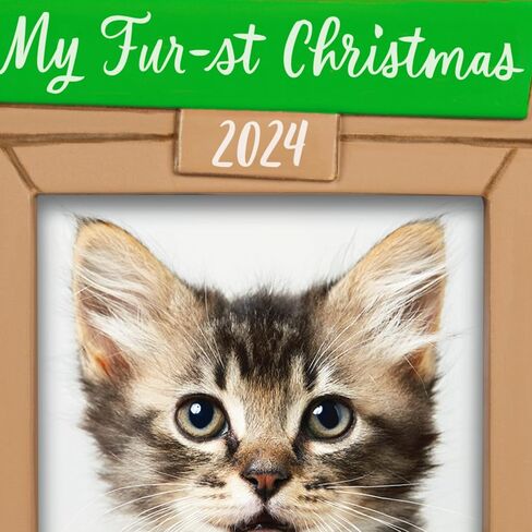 Hallmark Keepsake Christmas Ornament 2024, Mischievous Kittens, Gifts for Animal Lovers in Saudi Arabia