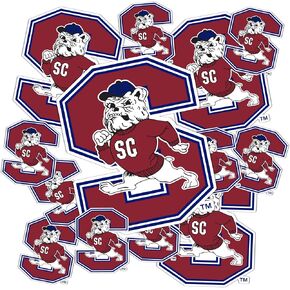 Desert Cactus South Carolina State University Sticker SCSU Bulldogs Stickers Vinyl Decals Laptop Water Bottle Car Scrapbook T3 (Type 3-1)