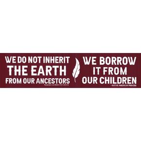 We Do Not Inherit The Earth from Our Ancestors, We Borrow It from Our Children Native American Proverb Large Car Bumper Sticker Locker Skateboard Window Decal 10.25-by-2.5 Inches (Vinyl Sticker)