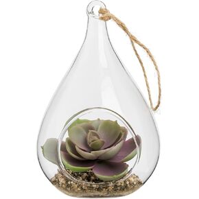 توري وتاجوس إشيفيريا على شكل دمعة عصارية في حوض زجاجي معلق (يتضمن نباتًا صناعيًا)، زينة عصارية صناعية في حوض نباتات الهواء كزينة نباتية لديكور الطاولة في حوض نباتات صغير in Kuwait