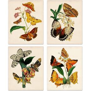 MOOXO Retro Botanical Butterfly Wall Art Prints, Vintage Butterfly Canvas Wall Art,Butterfly Floral Nature Aesthetic Posters for College Dorm Room Preppy Room Bedroom Decor, Set of 4(8x10'' Unframed)
