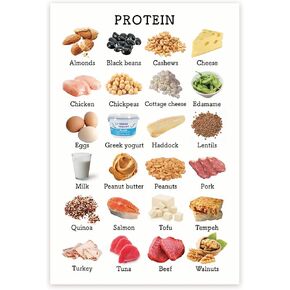 Protein Products Chart - Healthy Eating Nutrition - Protein Food Groups - Protein Food Facts - Food Pyramid 12 x 18 Inch Poster - Unframed - Premium 100lb Gloss - Made In USA - BMCP0469