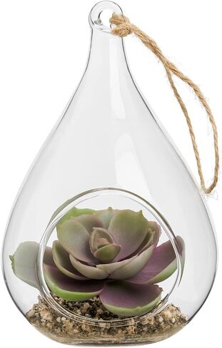 توري وتاجوس إشيفيريا على شكل دمعة عصارية في حوض زجاجي معلق (يتضمن نباتًا صناعيًا)، زينة عصارية صناعية في حوض نباتات الهواء كزينة نباتية لديكور الطاولة في حوض نباتات صغير in Kuwait