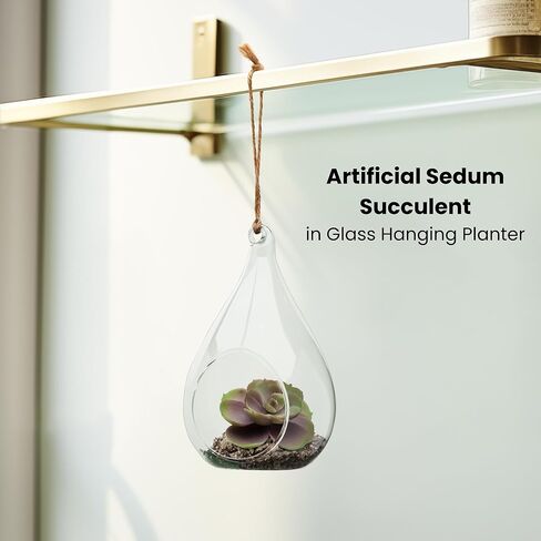 توري وتاجوس إشيفيريا على شكل دمعة عصارية في حوض زجاجي معلق (يتضمن نباتًا صناعيًا)، زينة عصارية صناعية في حوض نباتات الهواء كزينة نباتية لديكور الطاولة في حوض نباتات صغير in Kuwait