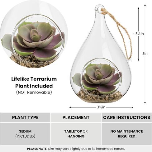 توري وتاجوس إشيفيريا على شكل دمعة عصارية في حوض زجاجي معلق (يتضمن نباتًا صناعيًا)، زينة عصارية صناعية في حوض نباتات الهواء كزينة نباتية لديكور الطاولة في حوض نباتات صغير in Kuwait