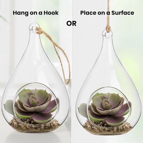 توري وتاجوس إشيفيريا على شكل دمعة عصارية في حوض زجاجي معلق (يتضمن نباتًا صناعيًا)، زينة عصارية صناعية في حوض نباتات الهواء كزينة نباتية لديكور الطاولة في حوض نباتات صغير in Kuwait