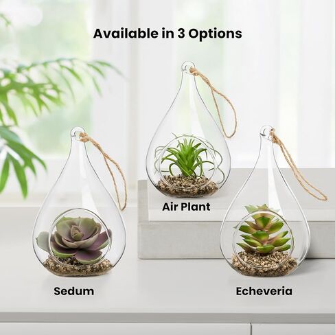 توري وتاجوس إشيفيريا على شكل دمعة عصارية في حوض زجاجي معلق (يتضمن نباتًا صناعيًا)، زينة عصارية صناعية في حوض نباتات الهواء كزينة نباتية لديكور الطاولة في حوض نباتات صغير in Kuwait