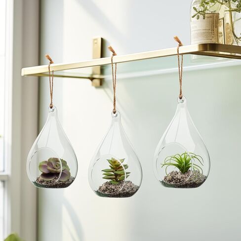 توري وتاجوس إشيفيريا على شكل دمعة عصارية في حوض زجاجي معلق (يتضمن نباتًا صناعيًا)، زينة عصارية صناعية في حوض نباتات الهواء كزينة نباتية لديكور الطاولة في حوض نباتات صغير in Kuwait
