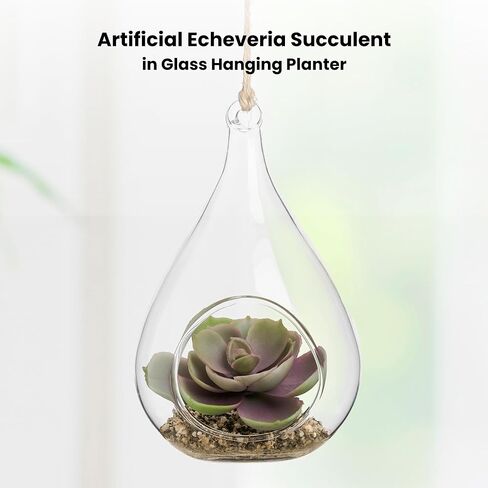 توري وتاجوس إشيفيريا على شكل دمعة عصارية في حوض زجاجي معلق (يتضمن نباتًا صناعيًا)، زينة عصارية صناعية في حوض نباتات الهواء كزينة نباتية لديكور الطاولة في حوض نباتات صغير in Kuwait