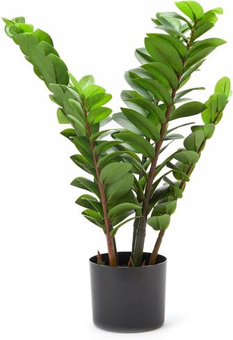 25.6" Tall Artificial ZZ Plant in Pot Lifelike Faux Zamioculcas Bonsai for Home Decor (Green, Indoor) in Saudi Arabia