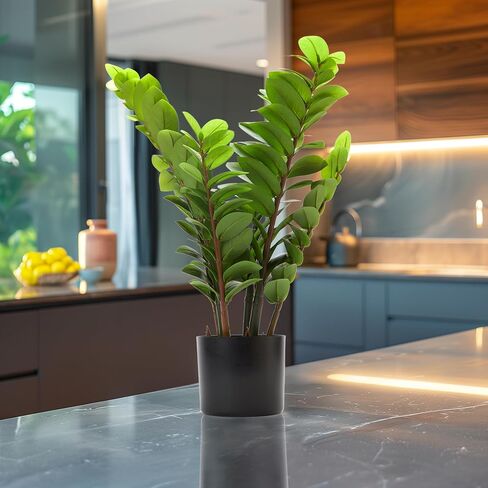 25.6" Tall Artificial ZZ Plant in Pot Lifelike Faux Zamioculcas Bonsai for Home Decor (Green, Indoor) in Saudi Arabia