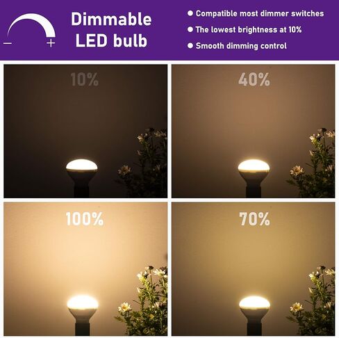 لمبة E17 R14 LED قابلة للتعتيم 4 وات (ما يعادل 40 وات) لمبة إضاءة صغيرة، قاعدة متوسطة E17، 300 لومن، لمبة إضاءة خزانة كوريو، أبيض ناعم 2700 ك، حزمة من 2 in Kuwait