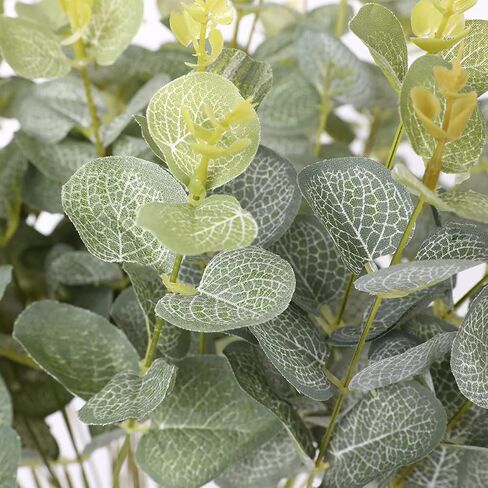 Tifuly ينبع الأوكالبتوس الاصطناعي 4 قطع فروع خضراء لمسة حقيقية وهمية أوراق الدولار الفضي باقات نباتات وهمية للمنزل مكتب محور الزفاف DIY الحرفية الديكور in Kuwait