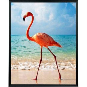 19x23 Picture Frame Solid Wood 19x23 Poster Frame for Wall 19x23 Photo Frames Family Black (T22B1923)