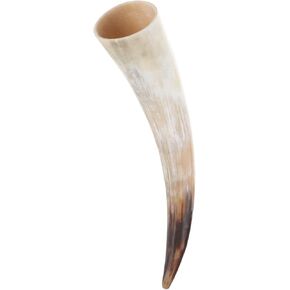 Cow Horn Wall Hanging Decor Cow Horn Flower Vase Handmade Polished Bull Horns Wall Decor Succulent Planters Wall Hanging Floral Vase for Home Living Room Decorations